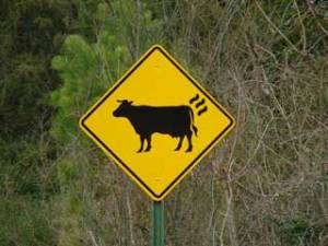 cowsign